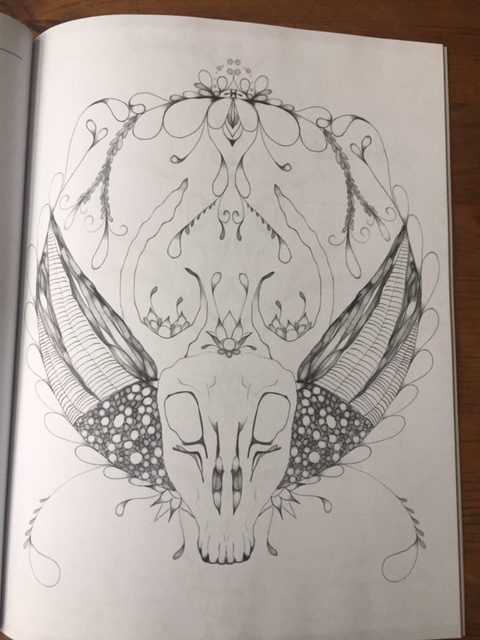 oh deer! coloring book page