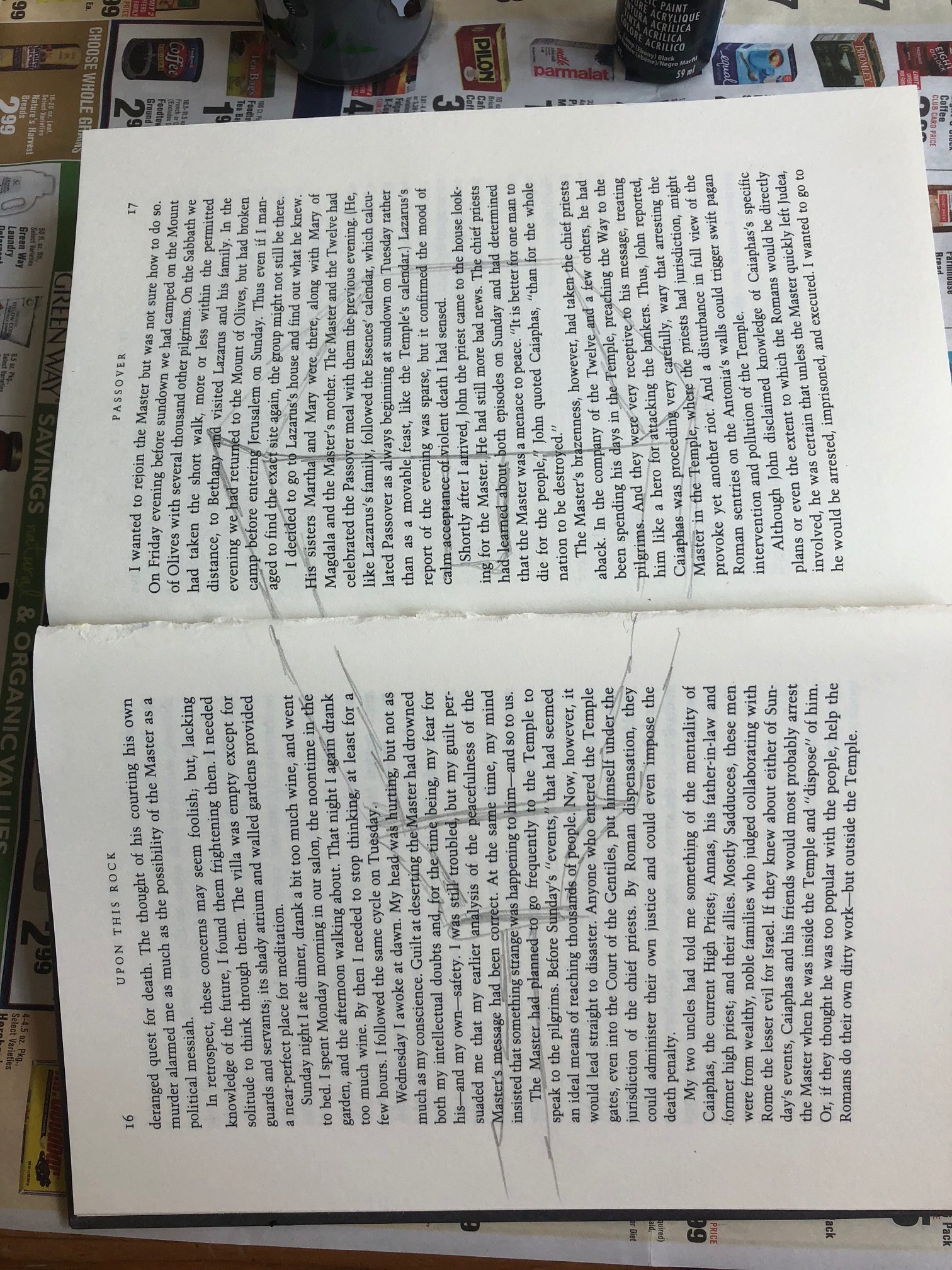 Book Page Watercolor Painting [Bookish Craft]